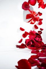 Heart shaped box with red roses petals on valentine's day. Gift box. Flying petals on white background