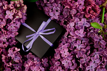 Black small gift boxes wrapped purple ribbon with natural lilac. © bondarillia