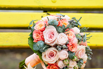Bride and groom in bright clothes on the bench