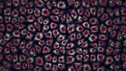 Embryonic dark purple stem cells colony under a microscope. Cellular therapy and research of regeneration and disease treatment in 3D illustration. Biology and medicine of human body concept. 4K © Eduard Muzhevskyi