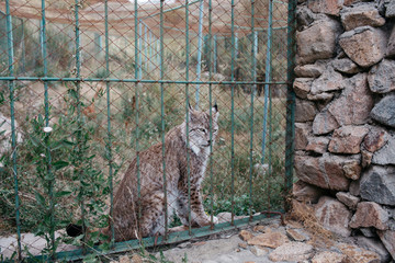 Wildlife Rehabilitation Centre