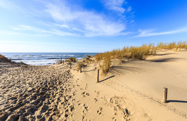 Phare de la Coubre, pr&eacute;s de la palmyre sur la cote sauvage en charente maritime 