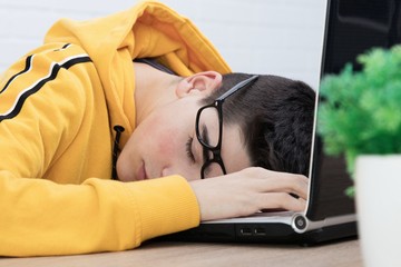 sleeping on the computer keyboard