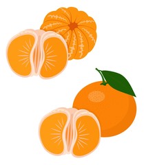 Mandarines, tangerine, clementine with leaves isolated on white background. Citrus fruit. Funny cartoon character. Raster Illustration