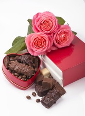 rose and dark chocolate for valentine day on isolate white background.