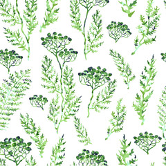 Seamless pattern with herbs, plants and flowers