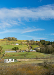 View of South Tyne valley near Garrigill, Cumbria