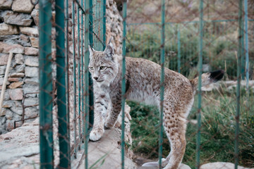 Wildlife Rehabilitation Centre