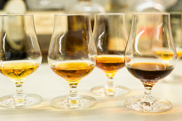 High quality Caribbean rum in modern glass for tasting