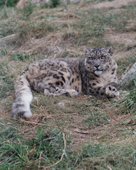 Wildlife Rehabilitation Centre