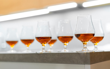 High quality Caribbean rum in modern glass for tasting