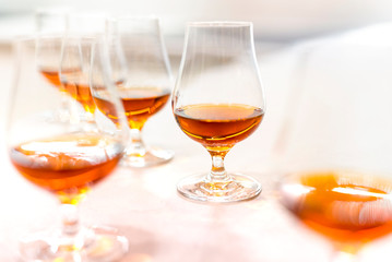 High quality Caribbean rum in modern glass for tasting