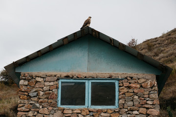 Wildlife Rehabilitation Centre