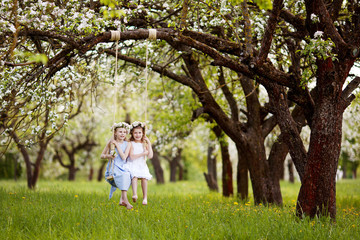Fototapeta na wymiar Two cute girls having fun on a swing in blossoming old apple tree garden. Sunny day. Spring outdoor activities for kids