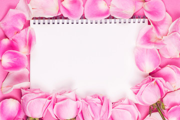 Valentine's Day.Pink rose，Valentines day background.
