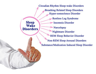 Sleep Wake Disorder