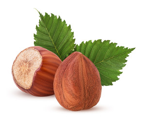 Peeled and one in shell hazelnut with leaf. Fresh organic filbert