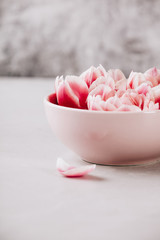 Pink flowers floating in water on blue background