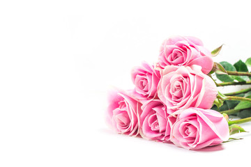 Valentine's Day.Pink rose，Valentines day background.