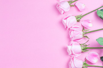 Obraz na płótnie Canvas Valentine's Day.Pink rose，Valentines day background.
