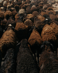 Traffic Jam, Krygyzstan