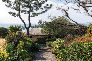 jeju straw thatched roofs