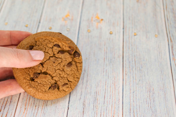 Oatmeal cookies on a light wooden background. Round shape.