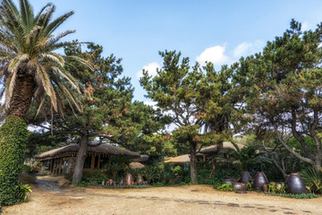 jeju straw thatched roofs