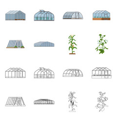 Vector illustration of greenhouse and plant sign. Collection of greenhouse and garden stock vector illustration.