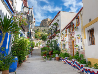 Street with beautiful houses and flowers in the old city of Alicante on a sunny day - obrazy, fototapety, plakaty