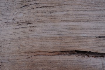 Old wood natural texture pattern background.