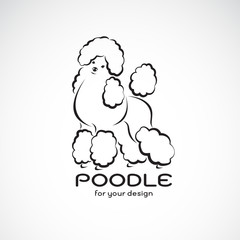 Vector of poodle dog design on white background. Pet Animal. Dog logo or icon. Easy editable layered vector illustration.