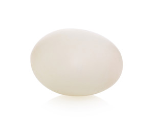duck egg on white background.