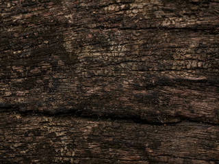 Fototapeta premium wood texture