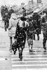 Blizzard in an Urban Environment. Woman with bag. Crowd of Rushing People in crosswalk in Snowfall. Abstract Blurry Winter Weather Background.