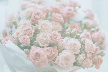 Light pale background with pink roses, romantic backdrop for many occasions