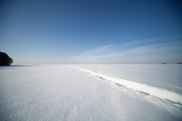  snowy field in winter. Winter landscape with  snowy fields