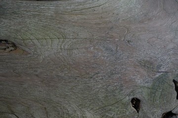 Old wood natural texture pattern background.