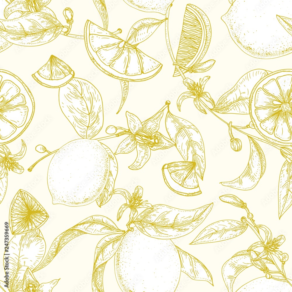 Poster botanical seamless pattern with ripe lemons, branches with blooming flowers and leaves hand drawn wi