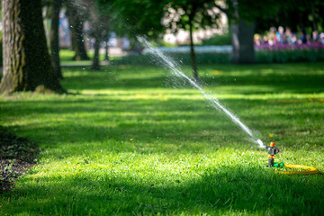 Automatic sprinkler system watering the lawn.Watering in the garden. Watering garden plants. Jet of...