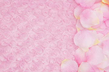 Spring background with a flower petals on pale pink rose plush fabric