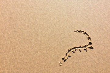 question mark drawn in the sand, a symbol of mystery and riddles