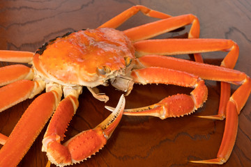 かに　蟹　丸ごと　1匹　食材　ずわいがに