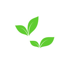 Fototapeta na wymiar Green leaf vector symbols. Green leaves simple icon set.