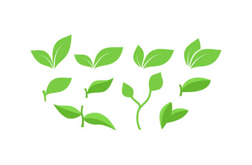 Green leaf various icon set. Collection of green leaves, leaves with branches vectors.