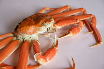 かに　蟹　丸ごと　1匹　食材　ずわいがに