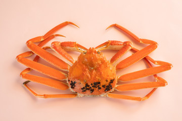 かに　蟹　丸ごと　1匹　食材　ずわいがに