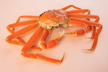 かに　蟹　丸ごと　1匹　食材　ずわいがに