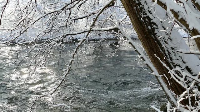 Winter am Ammersee, Schnee und K&auml;lte, Wasswer und Bewegung