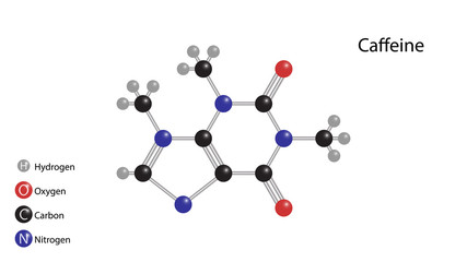 Caffeine vector. Molecular structure vector design. Caffeine structure
